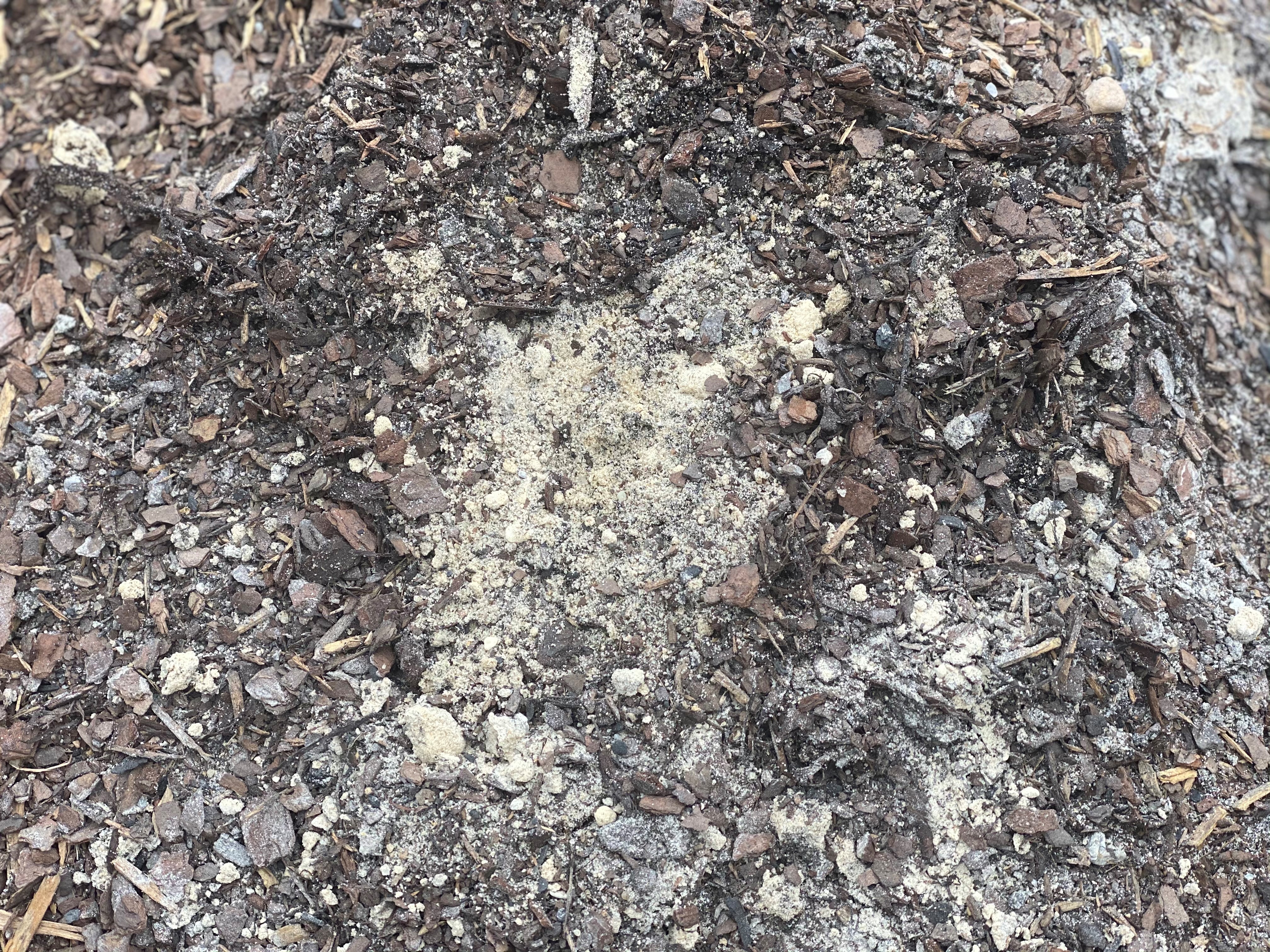 The root of gardening success starts with the soil